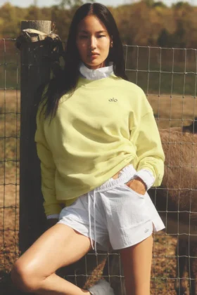 Accolade Crew Neck Pullover - Sunshine