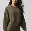 Cropped Sway Crew Neck Pullover - Olive Tree