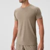 Triumph Raglan Tee - Gravel