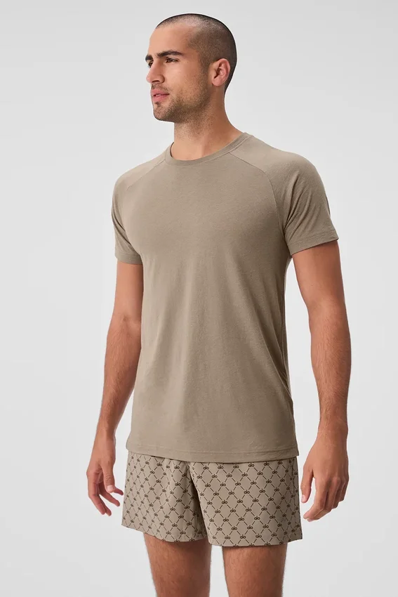 Triumph Raglan Tee - Gravel